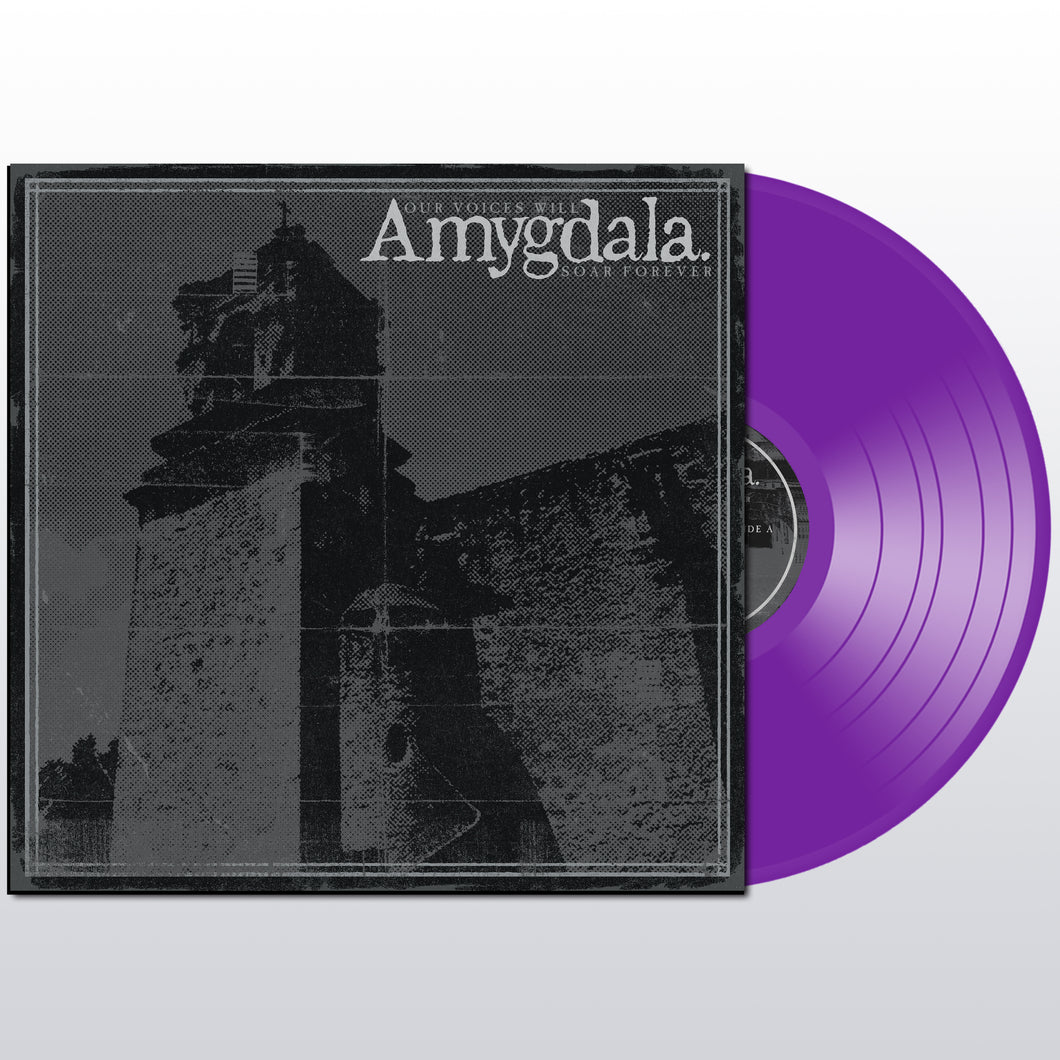 Amygdala 