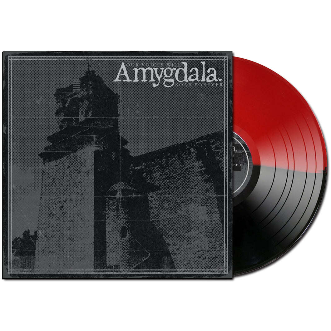 Amygdala 