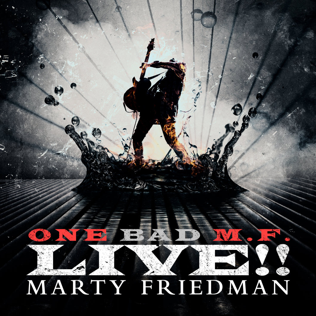 Marty Friedman 